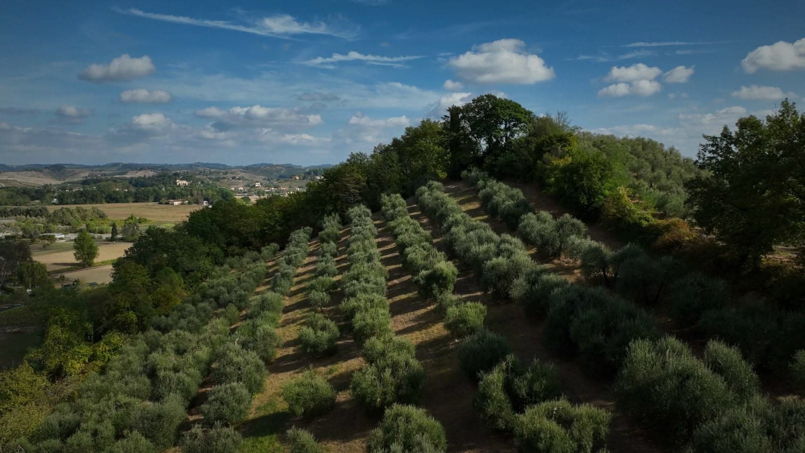 Colline e cipressi della campagna toscana