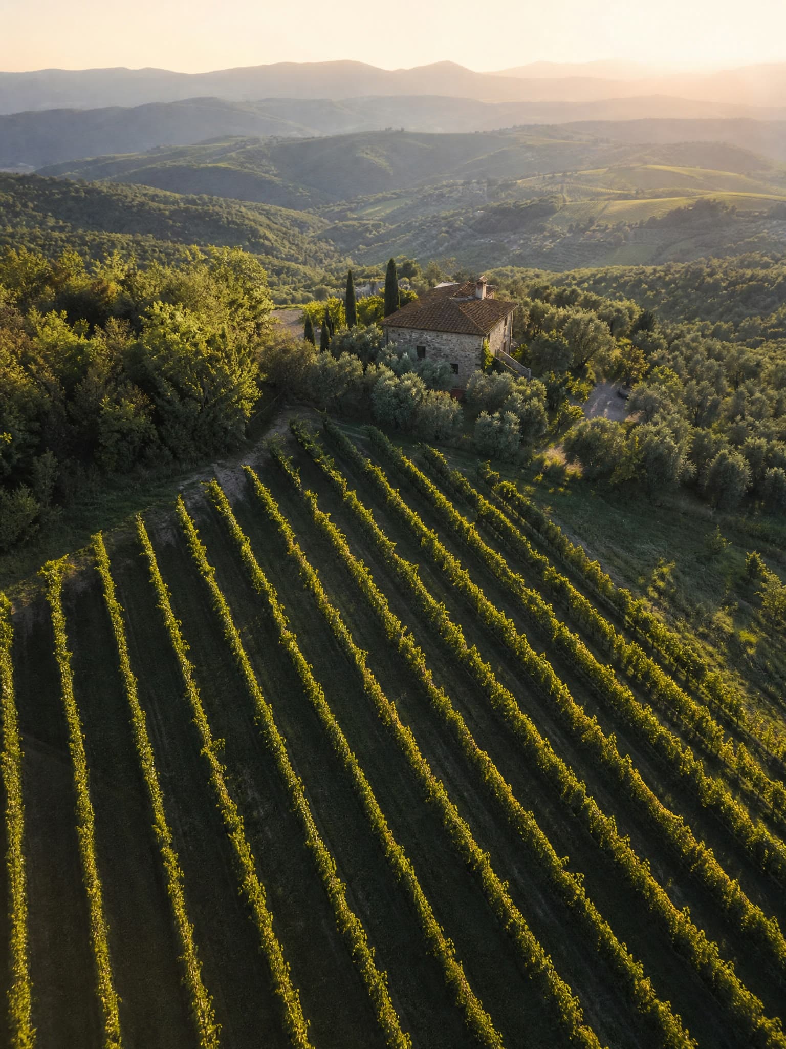 I Vigneti