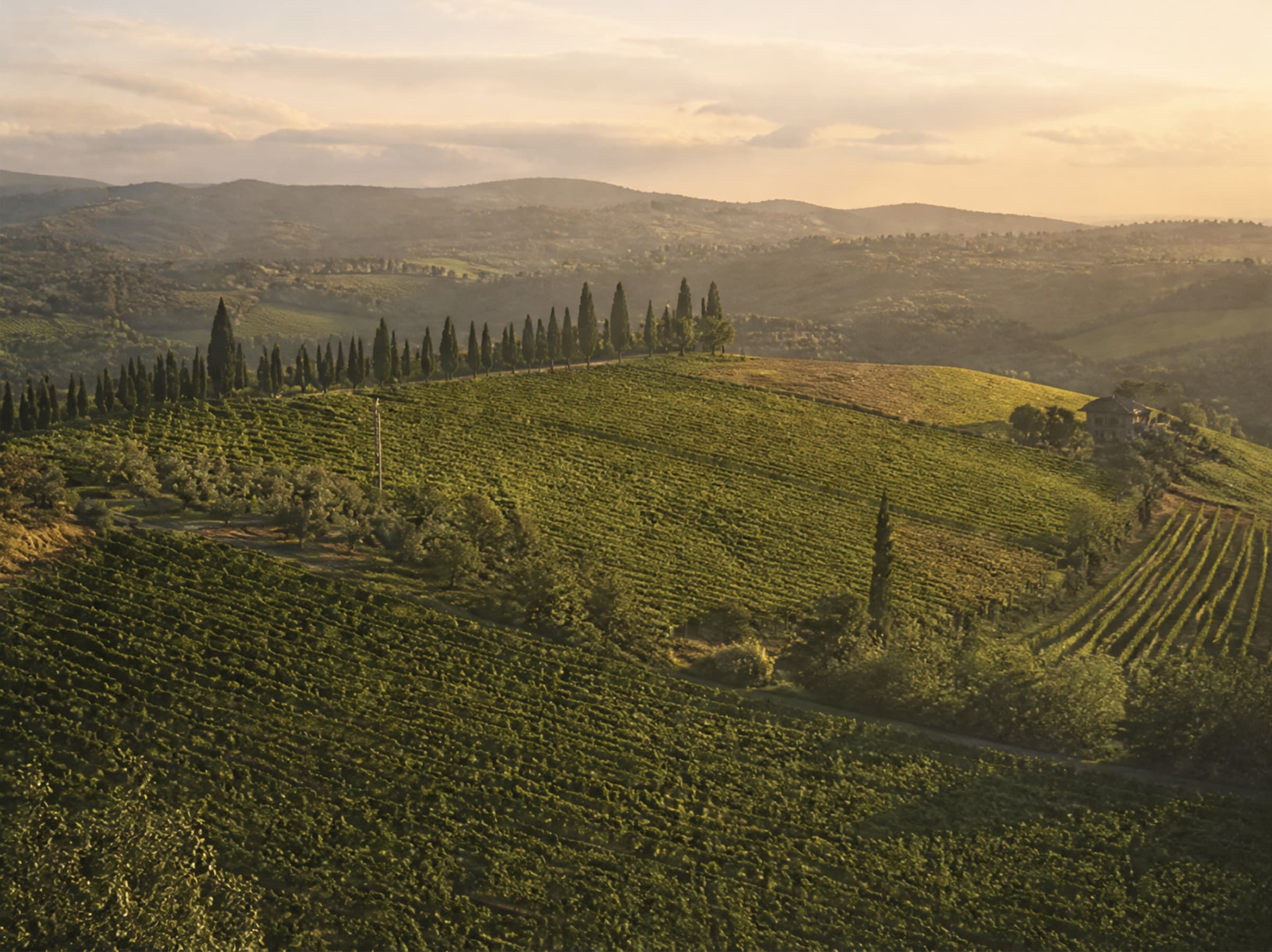 Tour della Tenuta